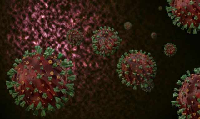 Coronavirus, in Puglia nessun nuovo positivo